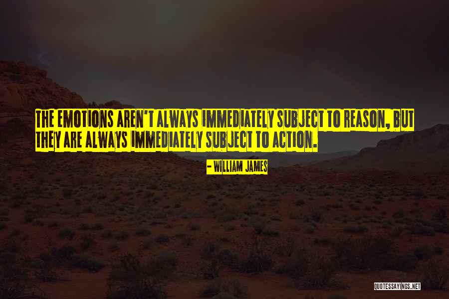 Snage Mi Quotes By William James Snage Mi Quotes By William James