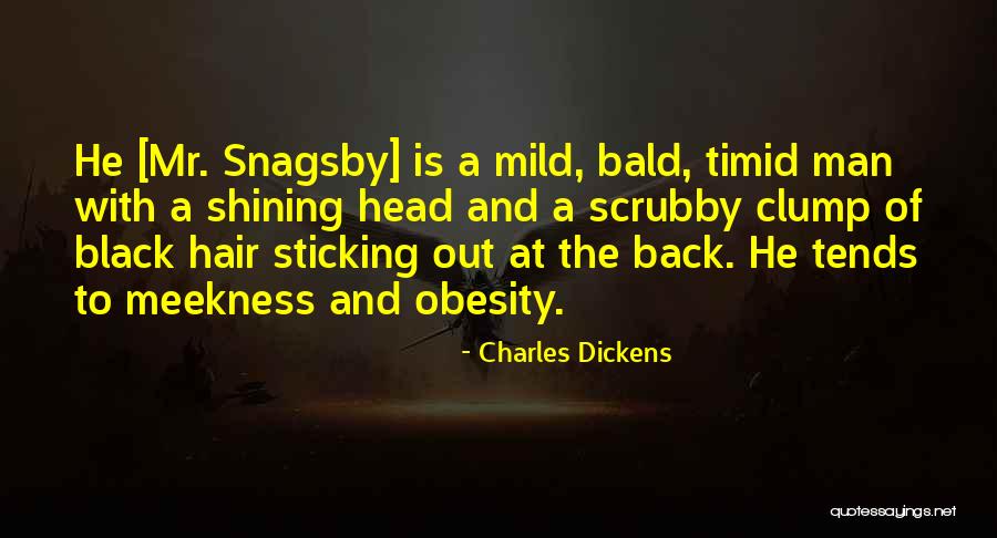 Snagsby Quotes By Charles Dickens Snagsby Quotes By Charles Dickens