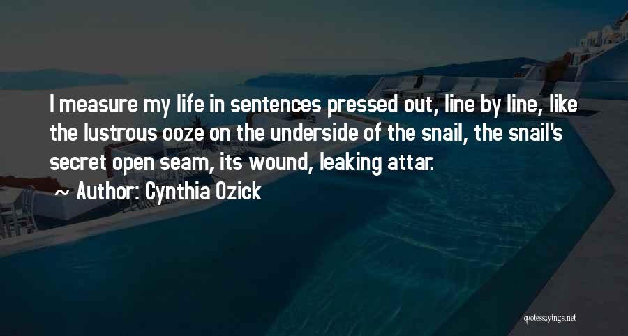 Snail Quotes By Cynthia Ozick