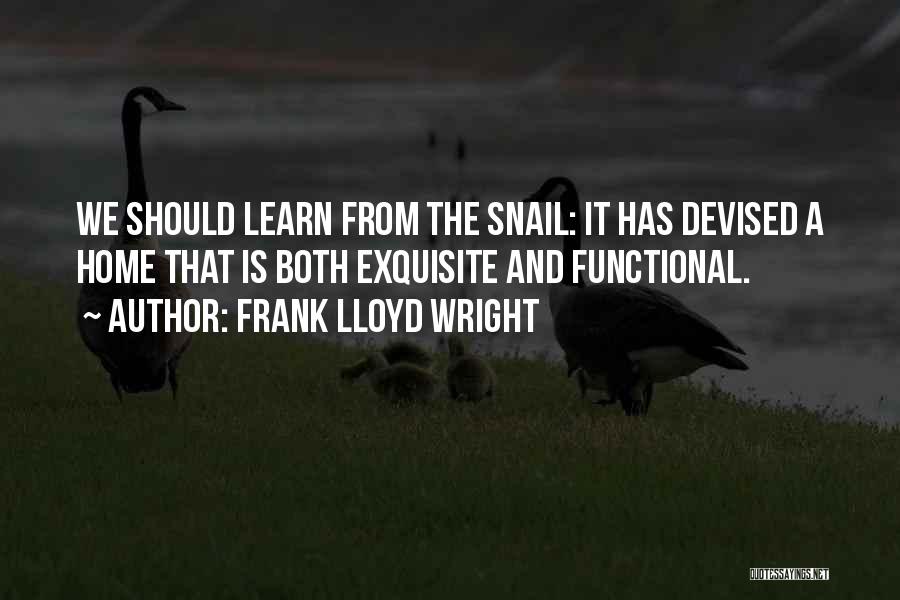 Snail Quotes By Frank Lloyd Wright