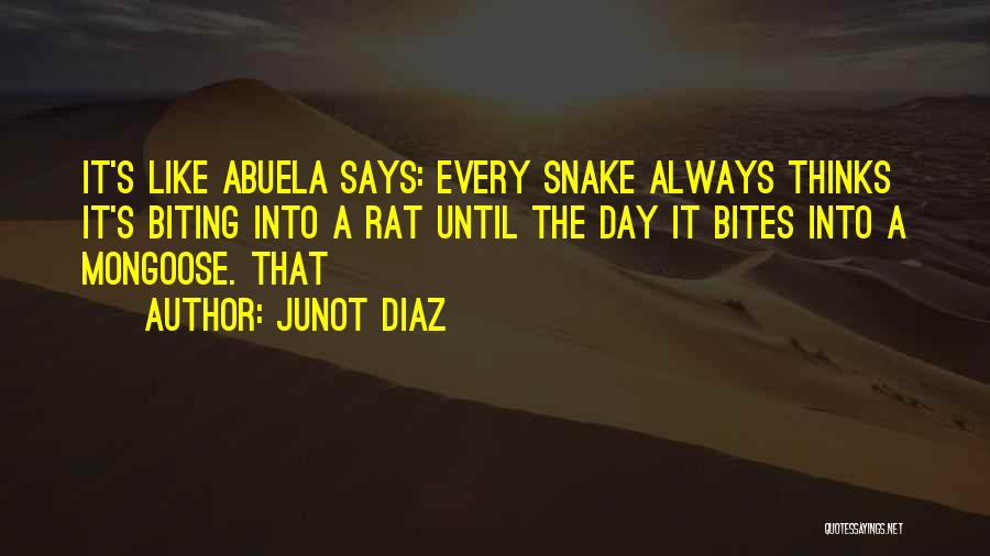 Snake And Mongoose Quotes By Junot Diaz