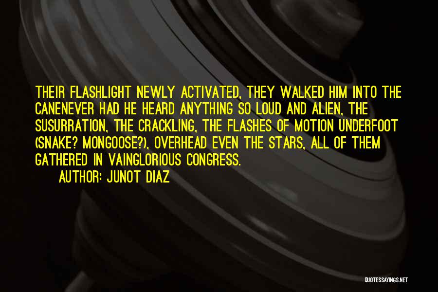 Snake And Mongoose Quotes By Junot Diaz