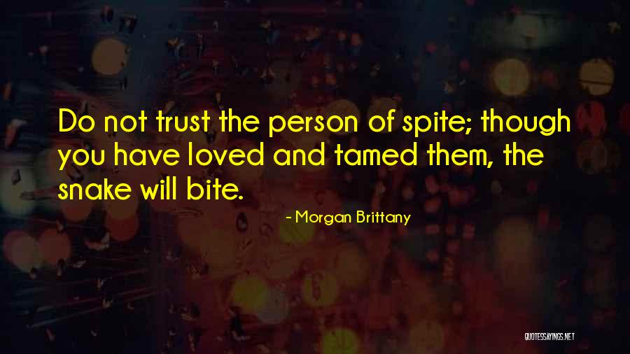 Snake Bite Quotes By Morgan Brittany