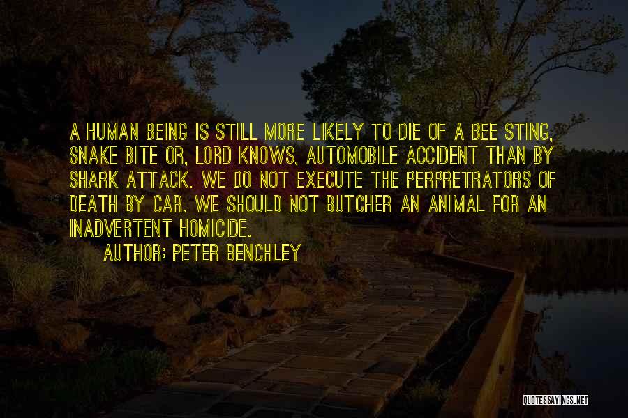 Snake Bite Quotes By Peter Benchley