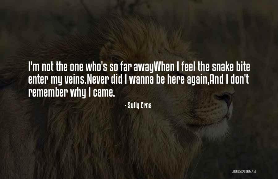 Snake Bite Quotes By Sully Erna