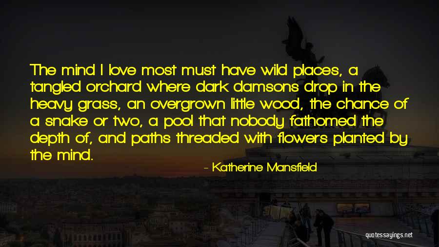 Snake In The Grass Quotes By Katherine Mansfield Snake In The Grass Quotes By Katherine Mansfield