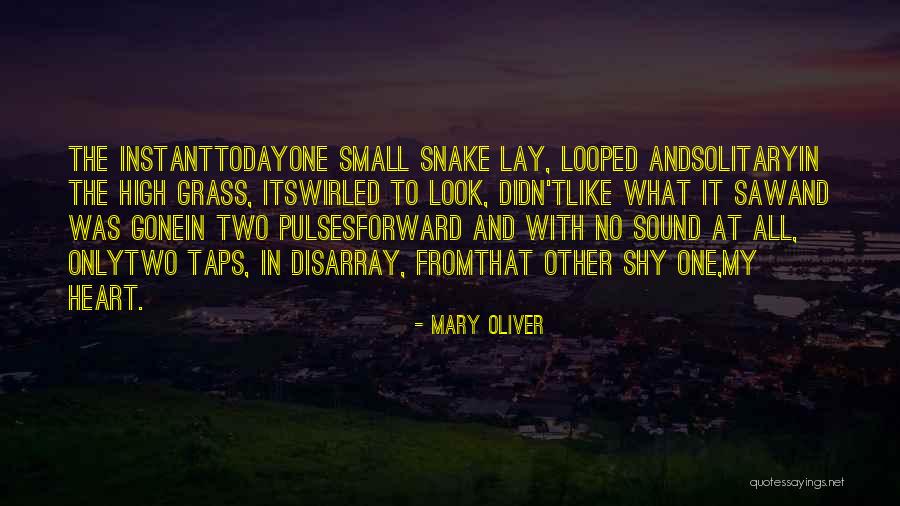 Snake In The Grass Quotes By Mary Oliver Snake In The Grass Quotes By Mary Oliver