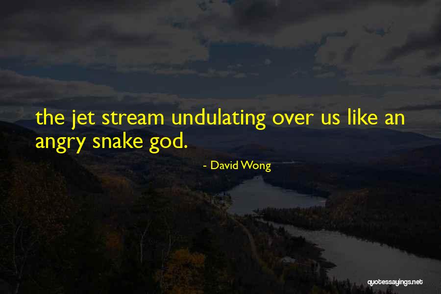 Snake Like Quotes By David Wong Snake Like Quotes By David Wong