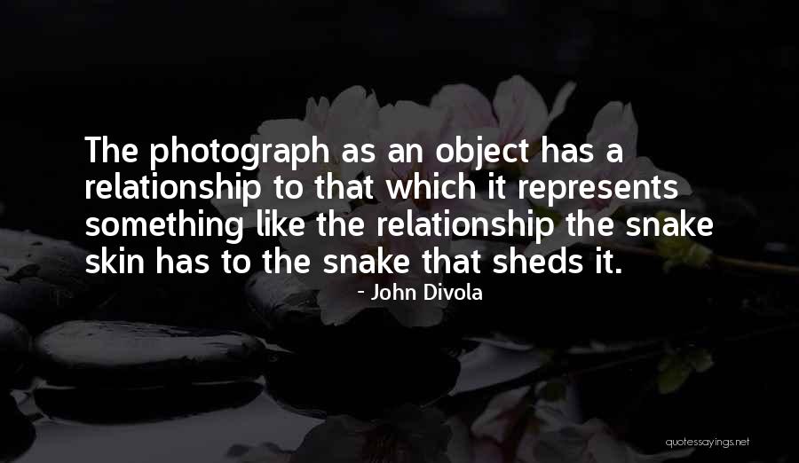 Snake Like Quotes By John Divola Snake Like Quotes By John Divola