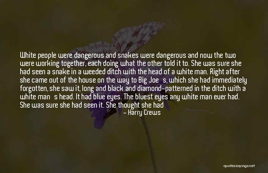 Snake People Quotes By Harry Crews Snake People Quotes By Harry Crews