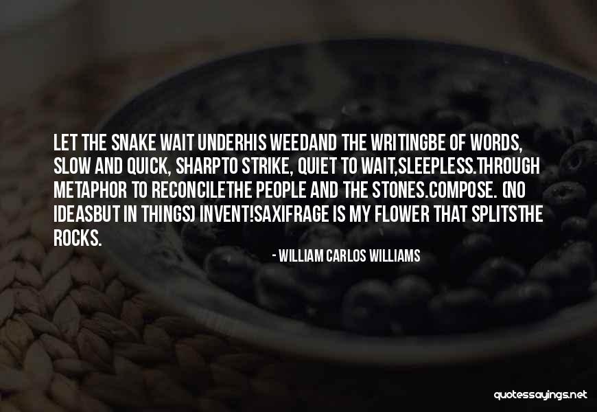 Snake People Quotes By William Carlos Williams Snake People Quotes By William Carlos Williams