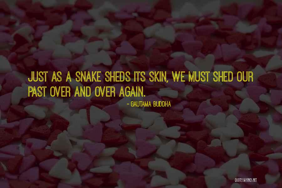 Snake Shed Skin Quotes By Gautama Buddha