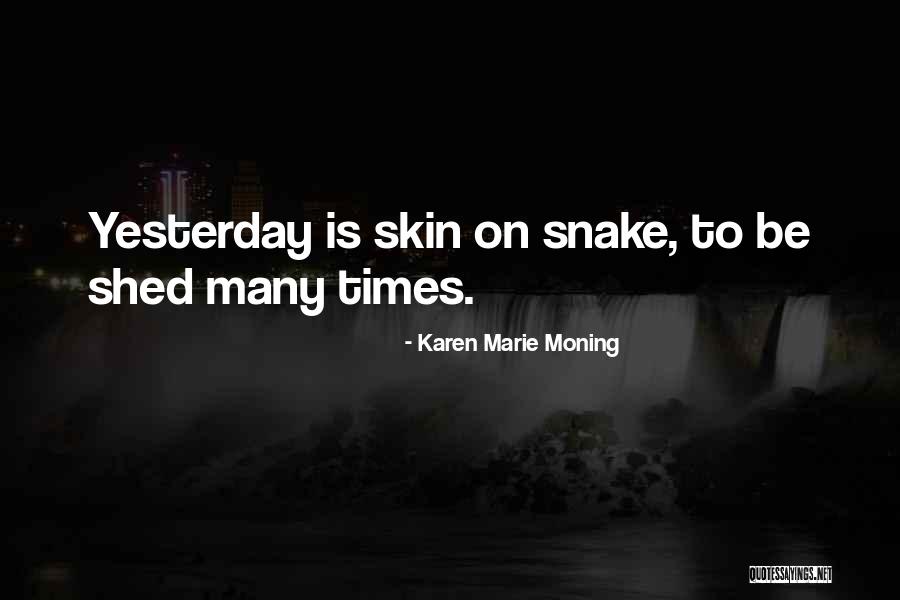 Snake Shed Skin Quotes By Karen Marie Moning