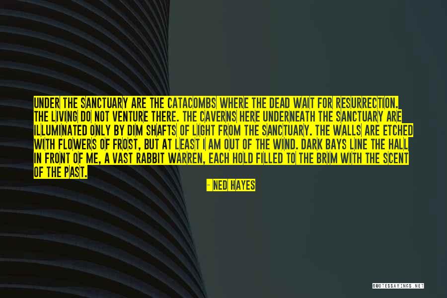 Snakelike Dragons Quotes By Ned Hayes Snakelike Dragons Quotes By Ned Hayes