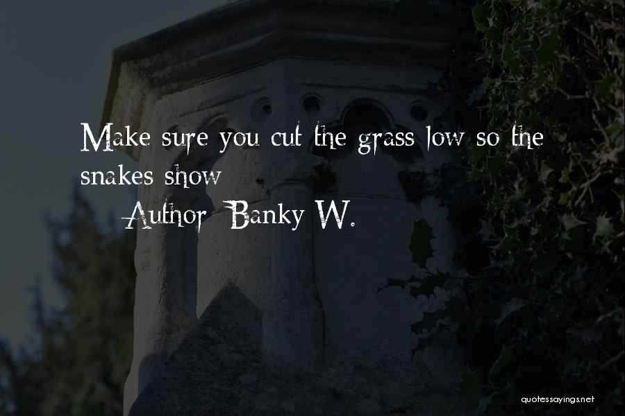 Snakes In Grass Quotes By Banky W.
