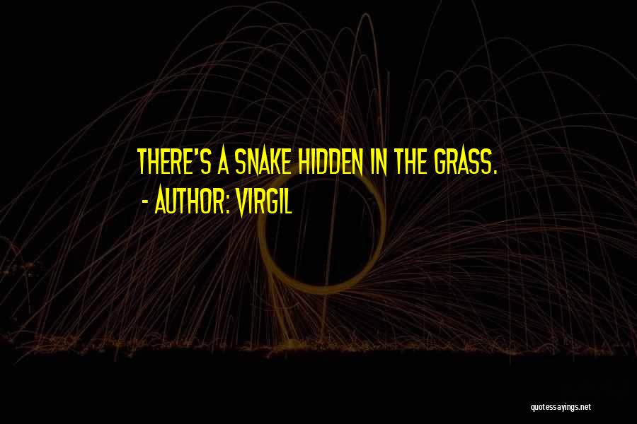 Snakes In Grass Quotes By Virgil