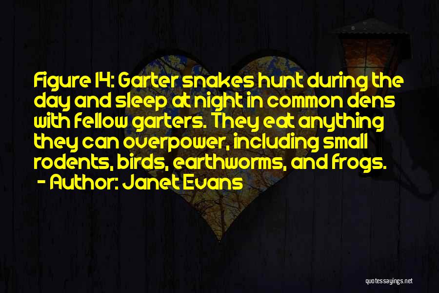 Snakes Quotes By Janet Evans