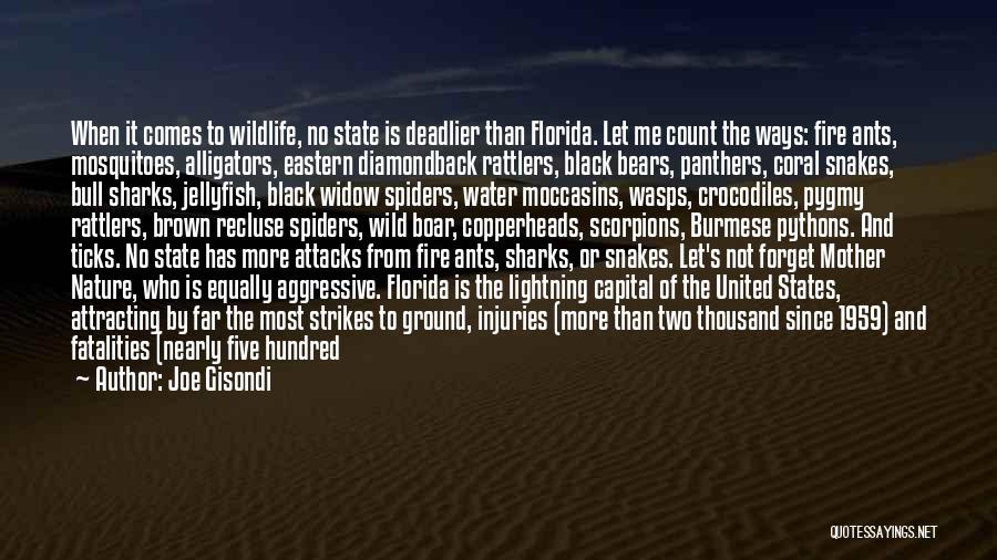 Snakes Quotes By Joe Gisondi