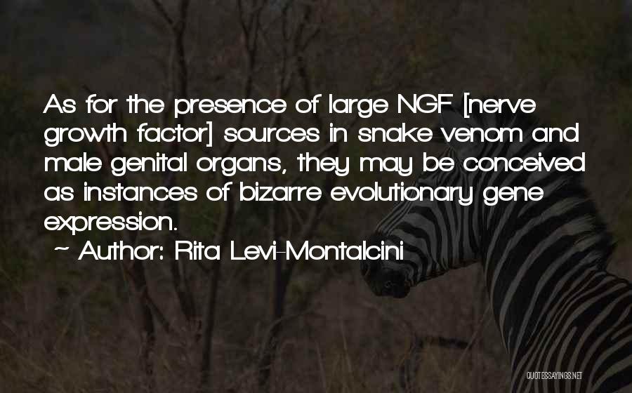 Snakes Venom Quotes By Rita Levi-Montalcini