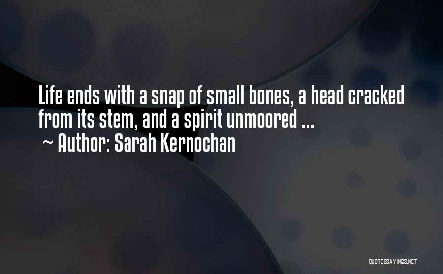 Snap Quotes By Sarah Kernochan