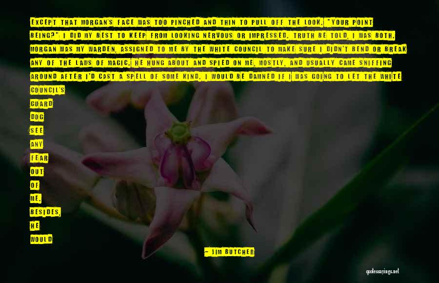 Snap Underwriters Quotes By Jim Butcher