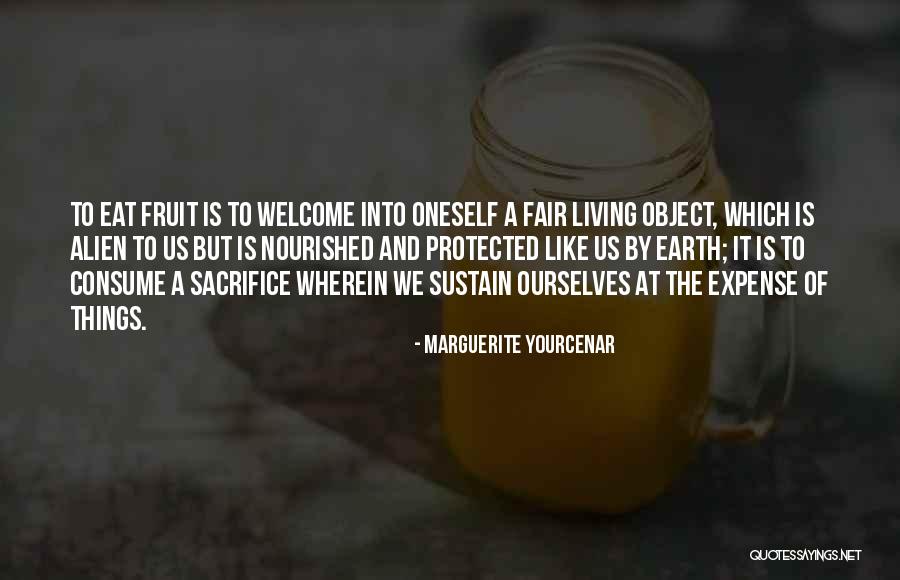 Snapdragons Deer Quotes By Marguerite Yourcenar Snapdragons Deer Quotes By Marguerite Yourcenar