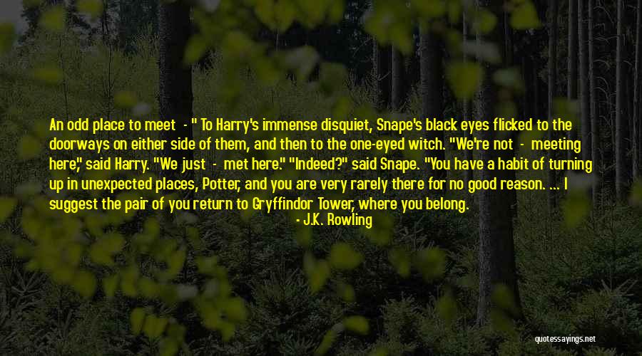 Snape Harry Quotes By J.K. Rowling Snape Harry Quotes By J.K. Rowling