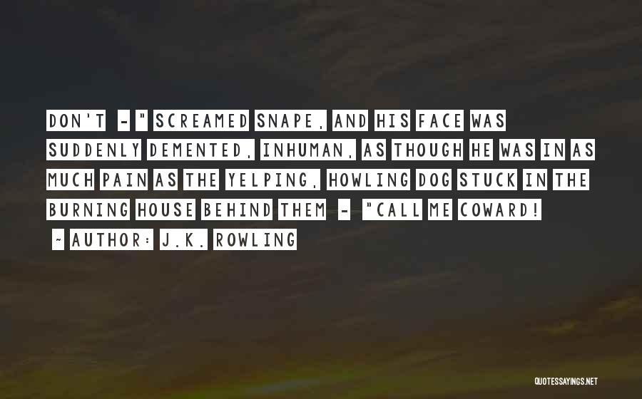 Snape Quotes By J.K. Rowling