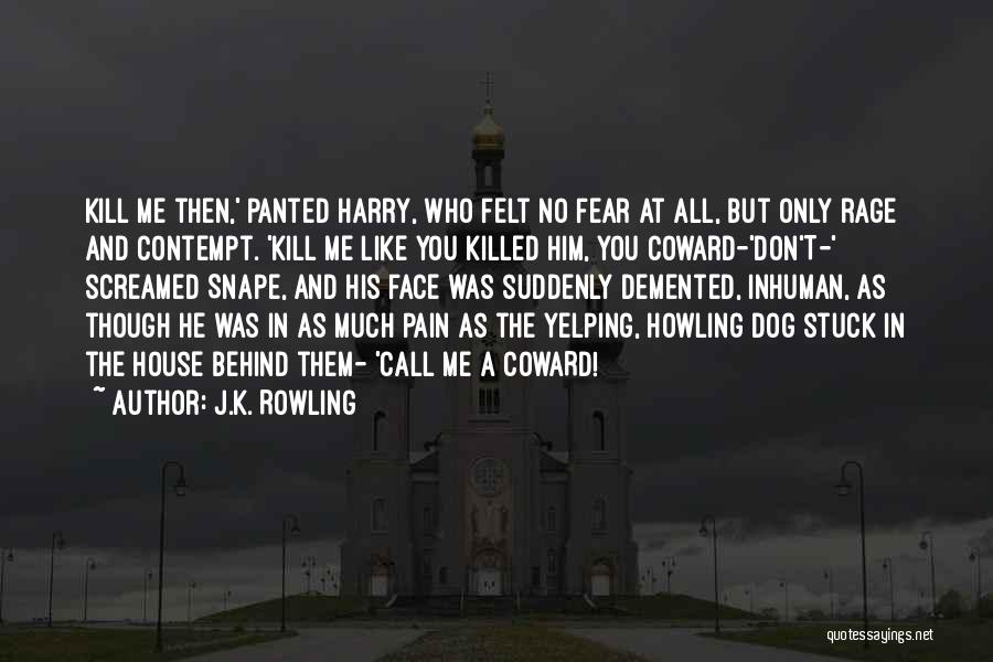 Snape Quotes By J.K. Rowling