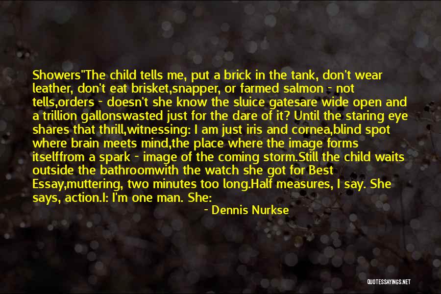 Snapper Quotes By Dennis Nurkse Snapper Quotes By Dennis Nurkse