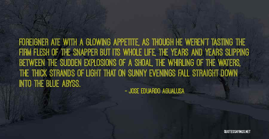 Snapper Quotes By Jose Eduardo Agualusa Snapper Quotes By Jose Eduardo Agualusa