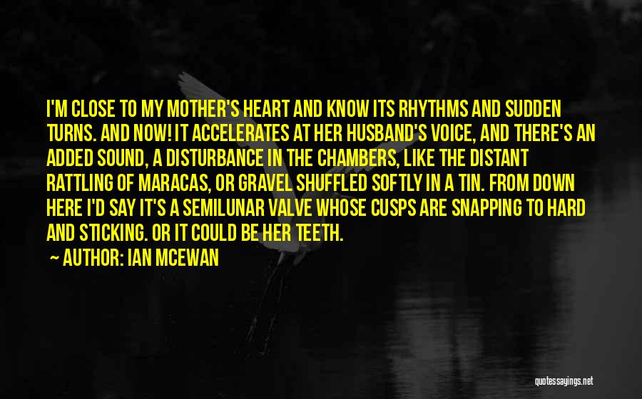 Snapping Quotes By Ian McEwan