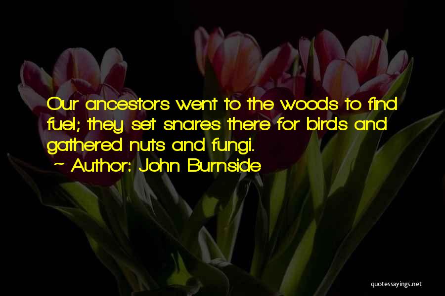 Snares Quotes By John Burnside