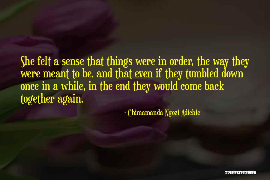Snaring Raccoons Quotes By Chimamanda Ngozi Adichie Snaring Raccoons Quotes By Chimamanda Ngozi Adichie