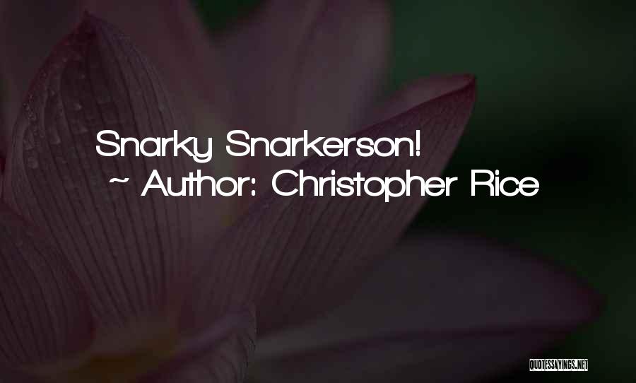 Snarky Quotes By Christopher Rice