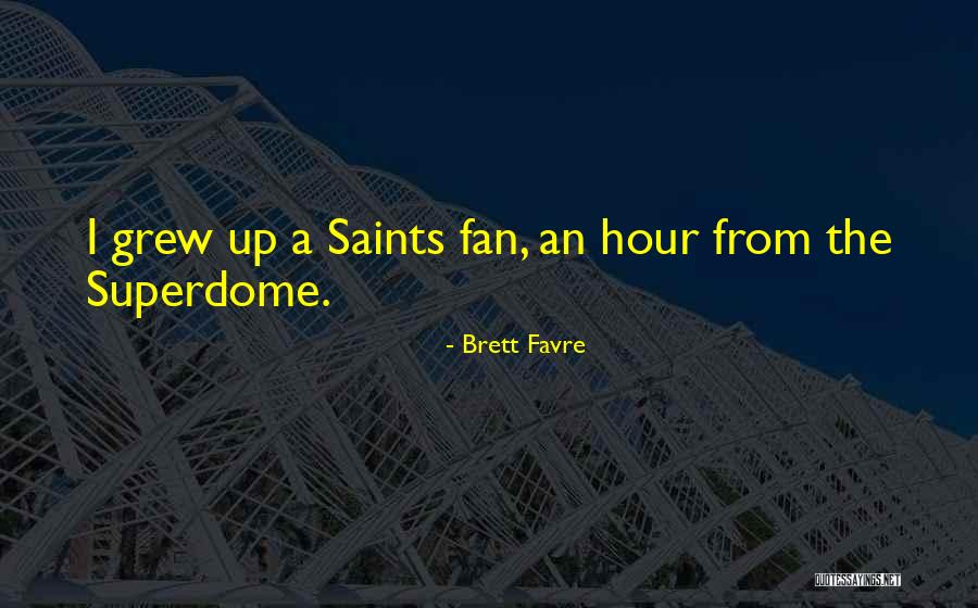 Snarky Viewpoint Character Quotes By Brett Favre