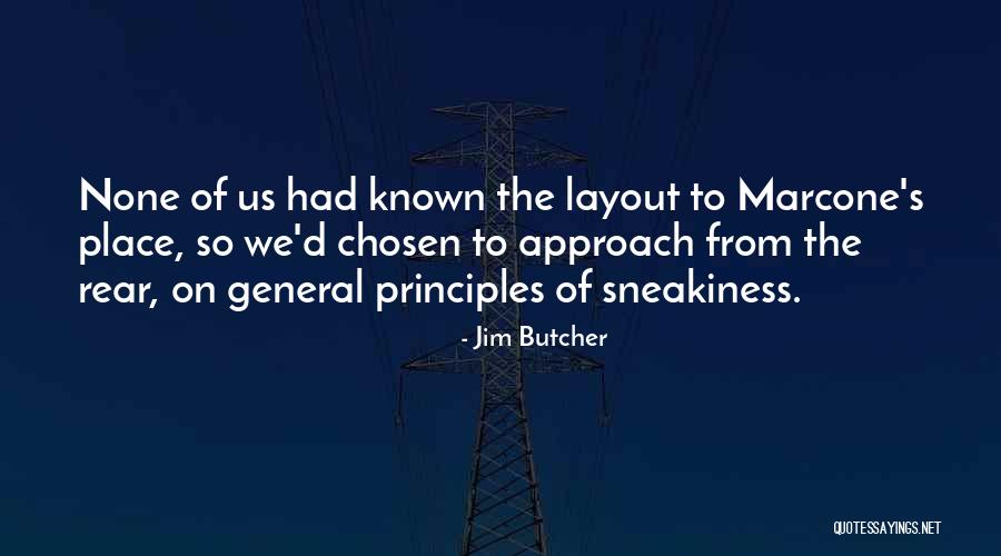 Sneakiness Quotes By Jim Butcher