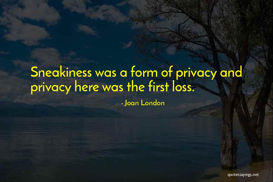 Sneakiness Quotes By Joan London