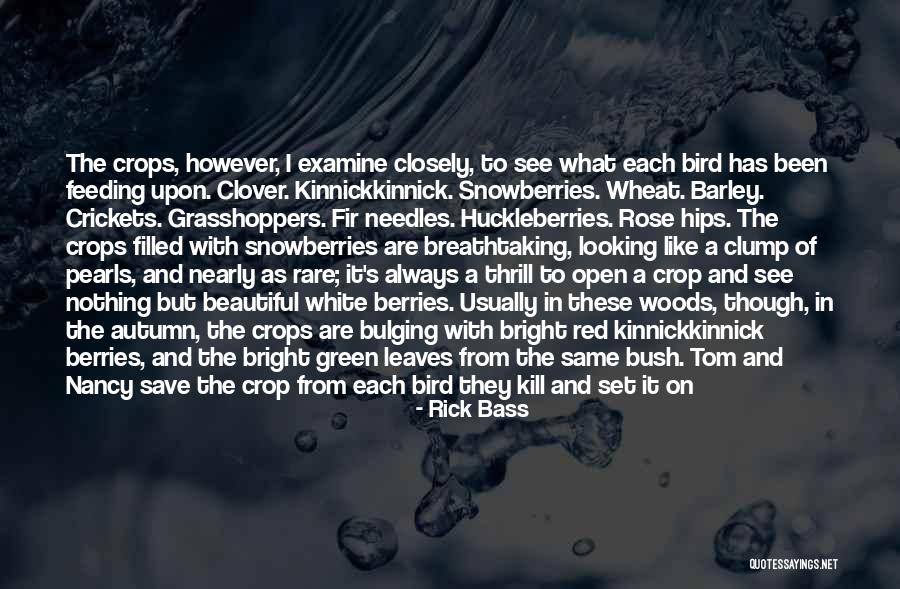 Sneakiness Thesaurus Quotes By Rick Bass Sneakiness Thesaurus Quotes By Rick Bass