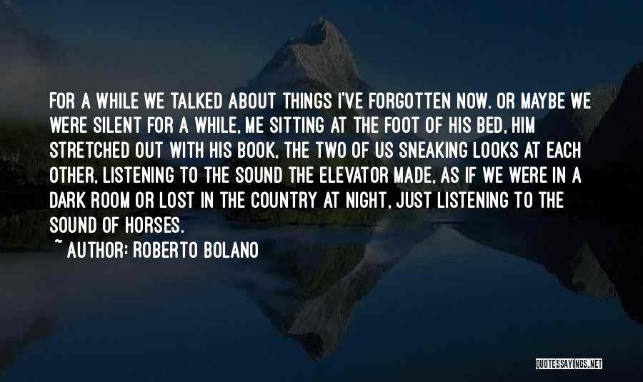 Sneaking Out At Night Quotes By Roberto Bolano