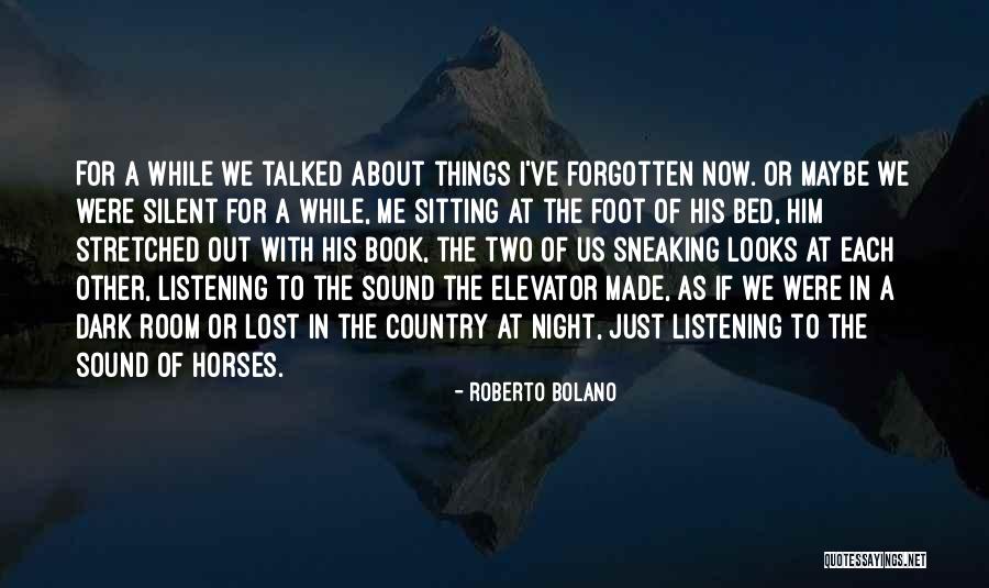 Sneaking Out At Night Quotes By Roberto Bolano