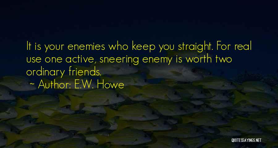 Sneering Quotes By E.W. Howe