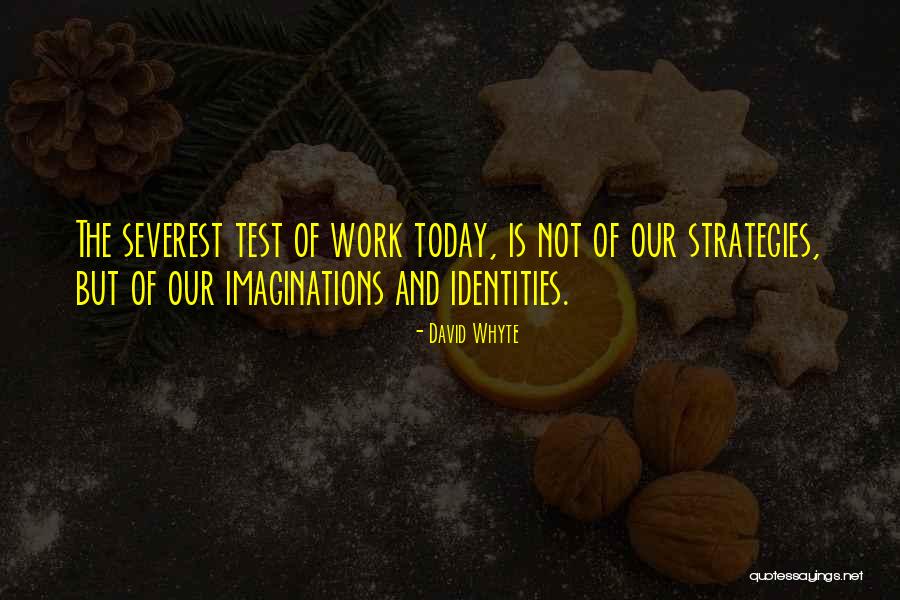 Sneeuwtijger Quotes By David Whyte Sneeuwtijger Quotes By David Whyte
