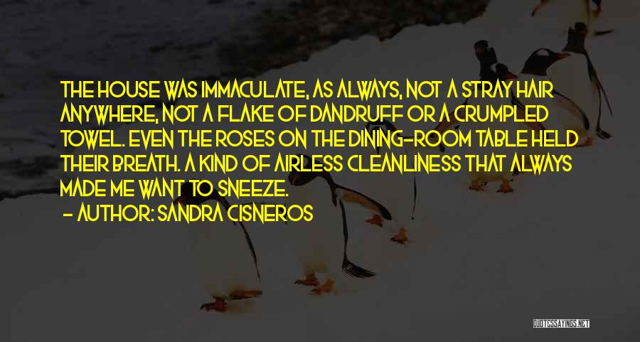 Sneeze Quotes By Sandra Cisneros