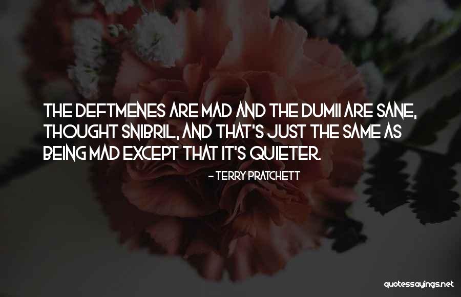 Snibril Quotes By Terry Pratchett Snibril Quotes By Terry Pratchett