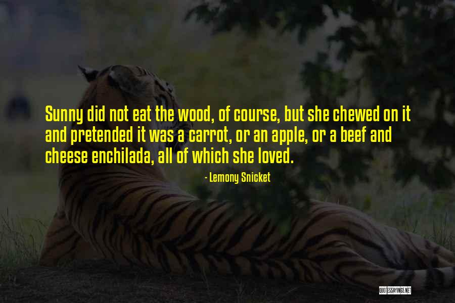 Snicket Lemony Quotes By Lemony Snicket Snicket Lemony Quotes By Lemony Snicket