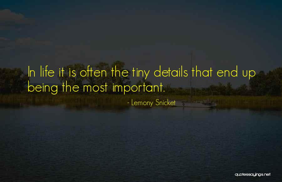 Snicket Lemony Quotes By Lemony Snicket Snicket Lemony Quotes By Lemony Snicket