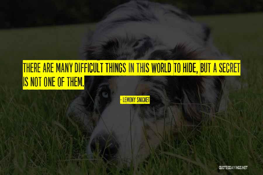 Snicket Lemony Quotes By Lemony Snicket Snicket Lemony Quotes By Lemony Snicket