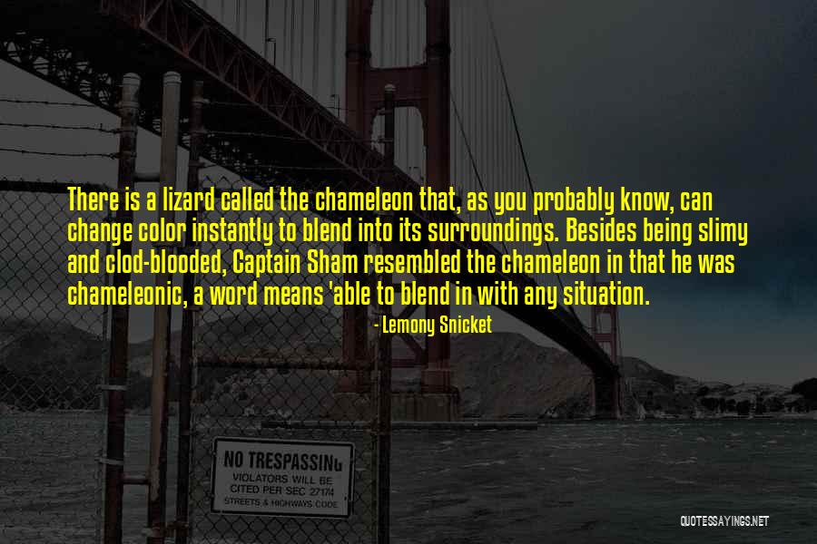 Snicket Lemony Quotes By Lemony Snicket Snicket Lemony Quotes By Lemony Snicket