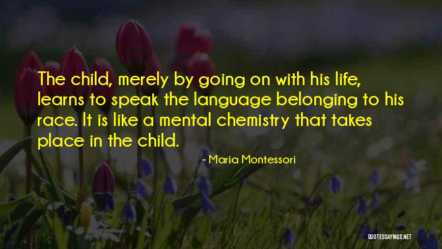 Snipes Bird Quotes By Maria Montessori Snipes Bird Quotes By Maria Montessori